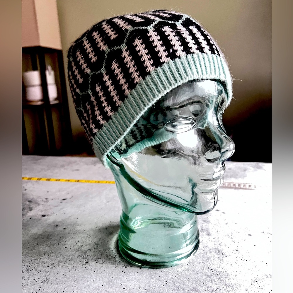 J Crew Beanie Hat in Mint Green & Black OS
